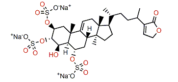 Topsentiasterol sulfate C